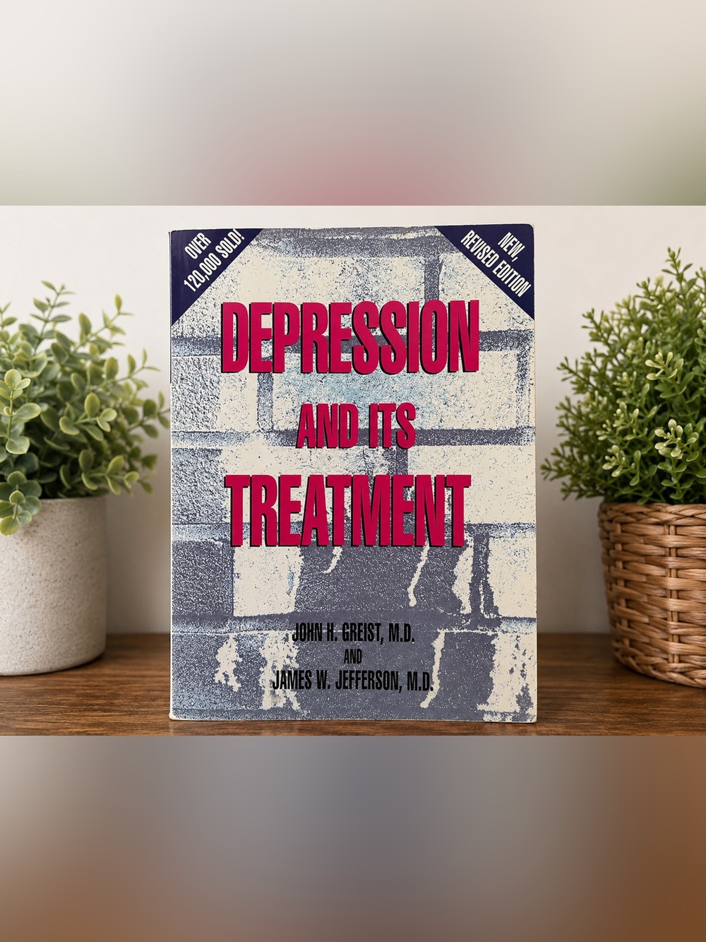 Depression and Its Treatment | Revised Edition | American Psychiatric Press